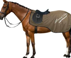 IMPERIAL RIDING Ausreitdecke IRHSuper-dry 0gr