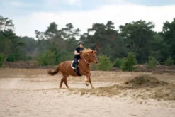 IMPERIAL RIDING Bareback-Pad IRHFree ride