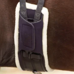 IMPERIAL RIDING Dressurgurt IRHComfort