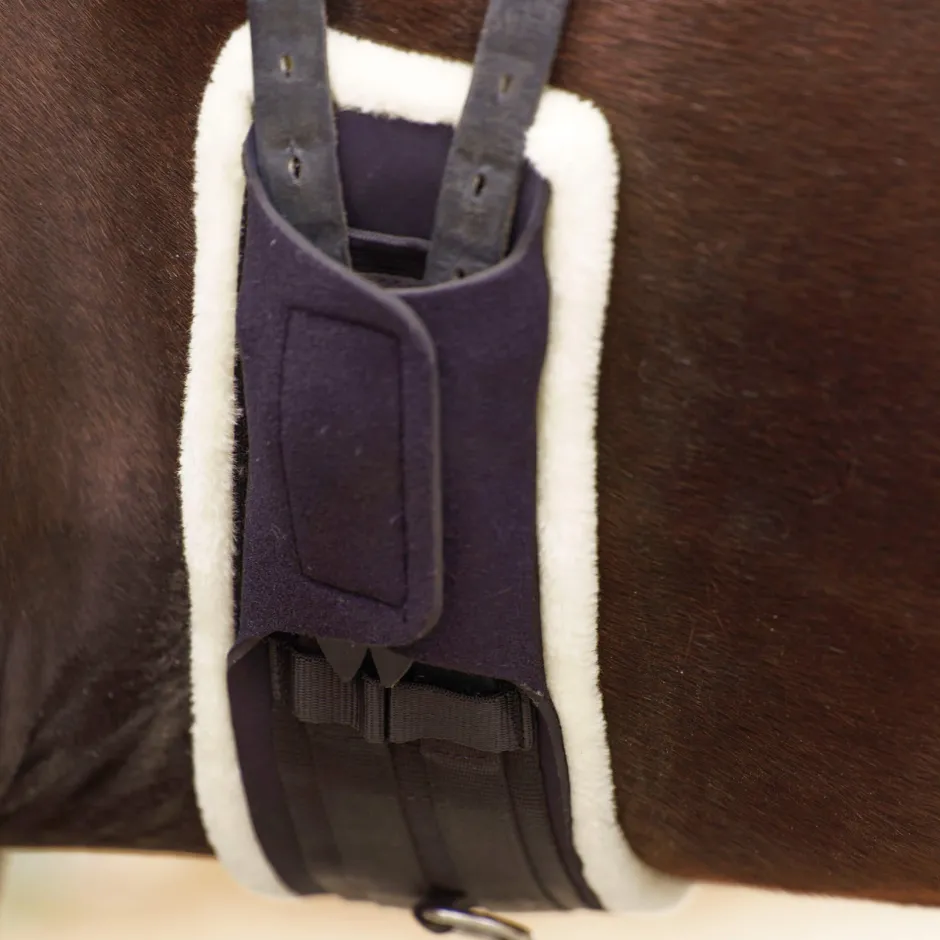 IMPERIAL RIDING Dressurgurt IRHComfort