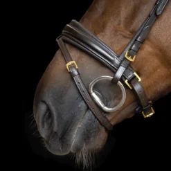 IMPERIAL RIDING Englisches Zaumzeug IRH kombiniert Sleek