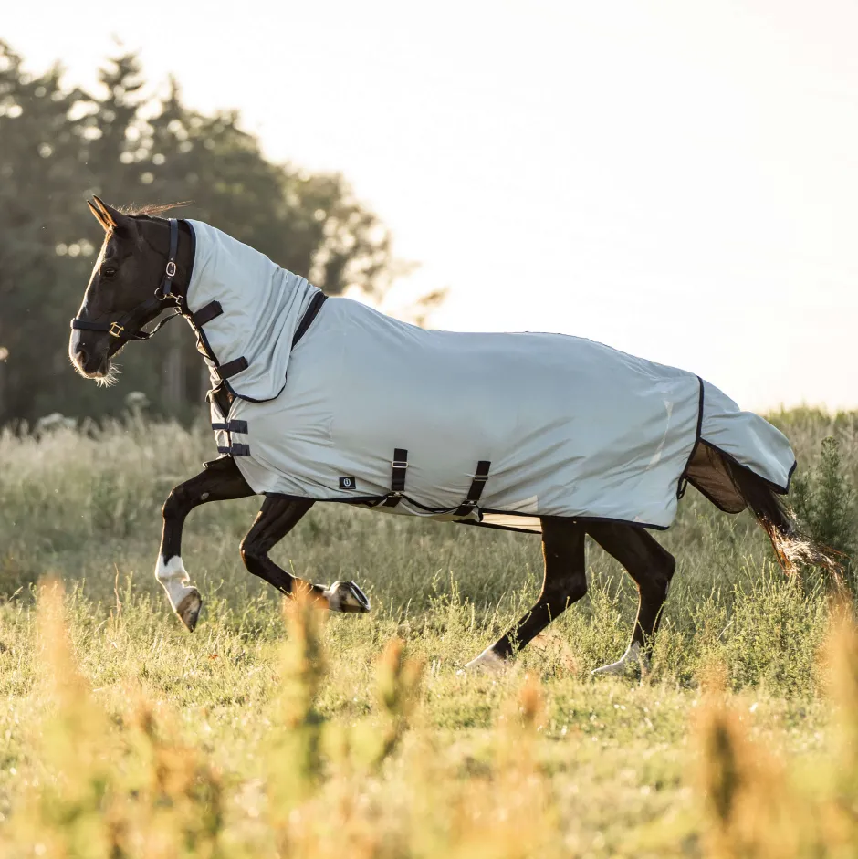 IMPERIAL RIDING Fliegendecke IRHReese