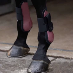 IMPERIAL RIDING Gamaschen IRHLovely