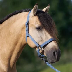 IMPERIAL RIDING Halfter IRHClassic Sport