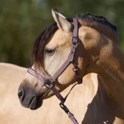 IMPERIAL RIDING Halfter IRHClassic Sport