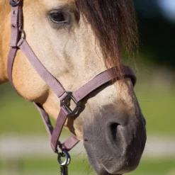 IMPERIAL RIDING Halfter IRHClassic Sport