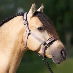 IMPERIAL RIDING Halfter IRHJewel Mesh