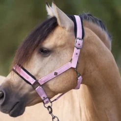 IMPERIAL RIDING Halfter IRHJewel Mesh