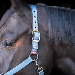 IMPERIAL RIDING Halfter Yearling IRH