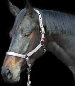 IMPERIAL RIDING Halfter Yearling IRH