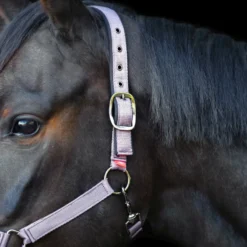 IMPERIAL RIDING Halfter Yearling IRH