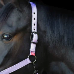 IMPERIAL RIDING Halfter Yearling IRH