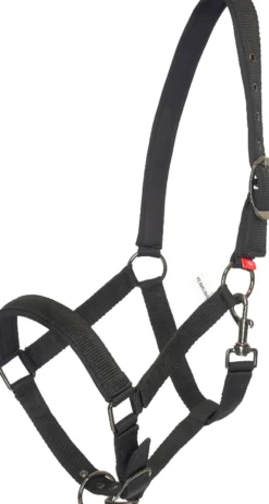 IMPERIAL RIDING Halfter Yearling IRH