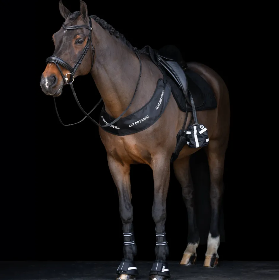 IMPERIAL RIDING Hufglocken IRHReflective
