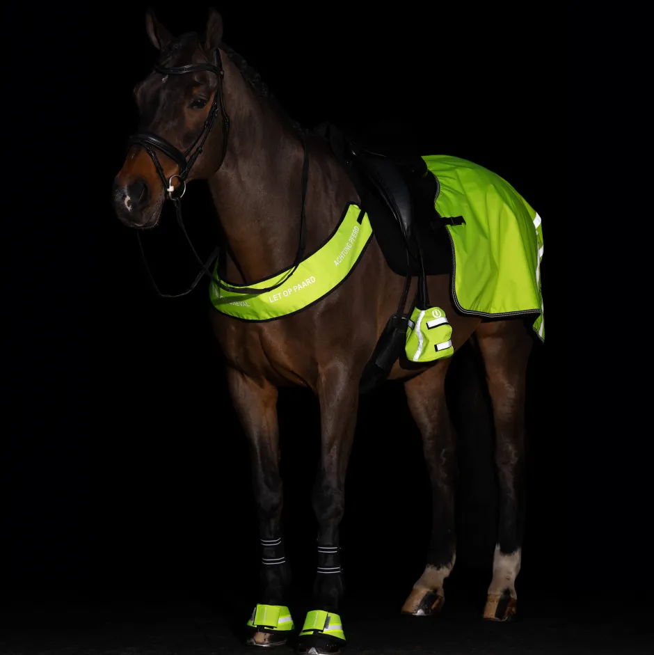 IMPERIAL RIDING Hufglocken IRHReflective