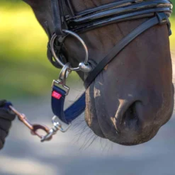 IMPERIAL RIDING Longierbrille IRH