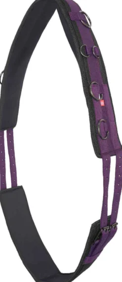 IMPERIAL RIDING Longiergurt IRHDeluxe Extra