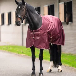 IMPERIAL RIDING Outdoordecke IRHBasic ohne Halsteil Fleece