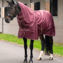 IMPERIAL RIDING Outdoordecke IRHBasic mit abnehmbarem Halsteil Fleece
