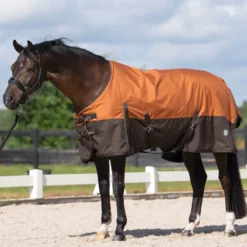IMPERIAL RIDING Outdoordecke IRHCustomized ohne Halsteil Sommer