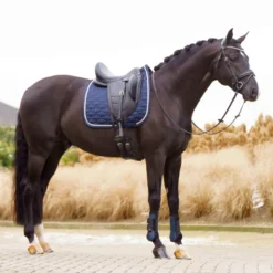 IMPERIAL RIDING Schabracke IRHLenny Dressur