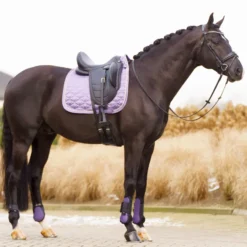 IMPERIAL RIDING Schabracke IRHLenny Dressur