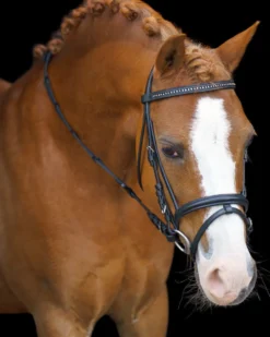 IMPERIAL RIDING SHETTY Trense IRHStormy