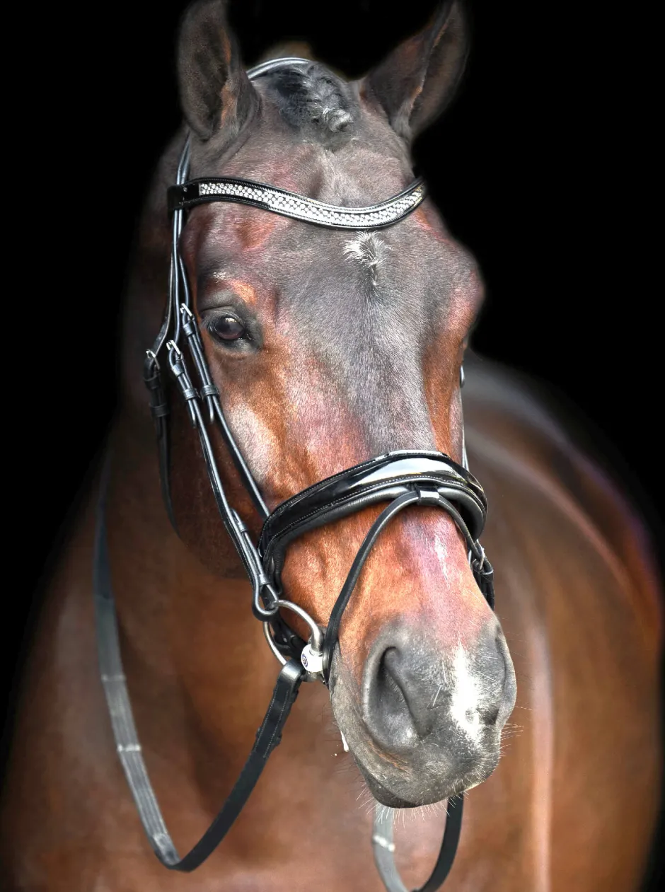 IMPERIAL RIDING Snaffle bridle with English noseband IRH
