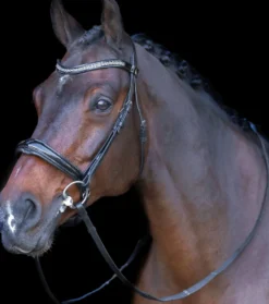 IMPERIAL RIDING Snaffle bridle with English noseband IRH