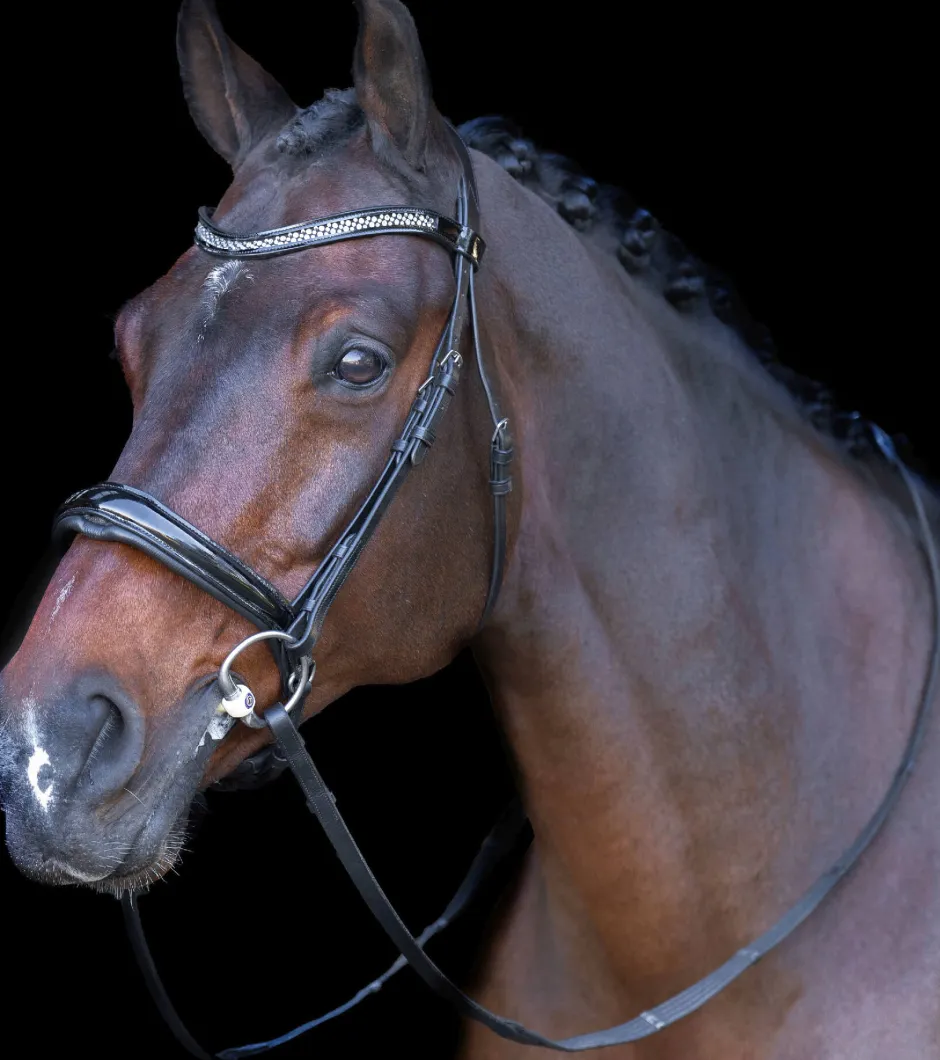 IMPERIAL RIDING Snaffle bridle with English noseband IRH