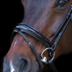 IMPERIAL RIDING Snaffle bridle with English noseband IRH