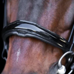 IMPERIAL RIDING Snaffle bridle with English noseband IRH