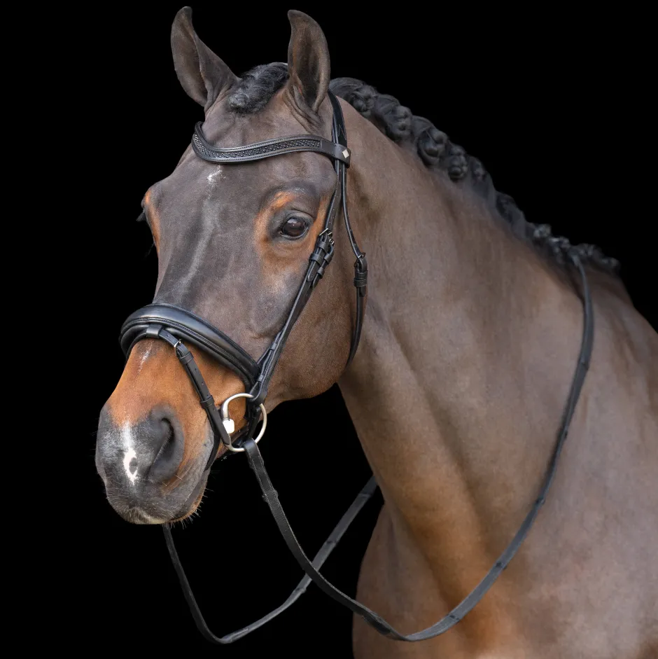 IMPERIAL RIDING Snaffle bridle with English noseband IRH
