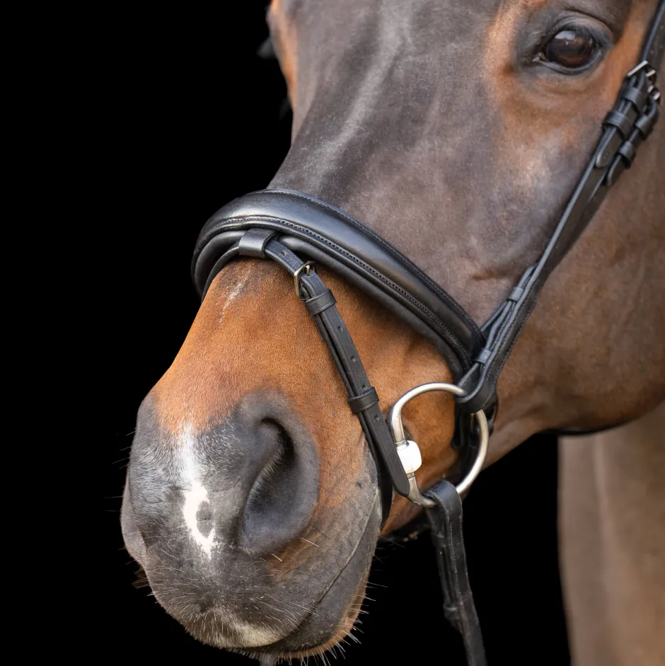 IMPERIAL RIDING Snaffle bridle with English noseband IRH