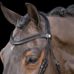 IMPERIAL RIDING Snaffle bridle with English noseband IRH