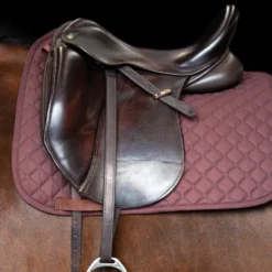 IMPERIAL RIDING Steigbügelriemen IRH mit Nylonkern