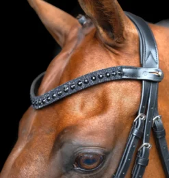IMPERIAL RIDING Stirnriemen IRHSlim