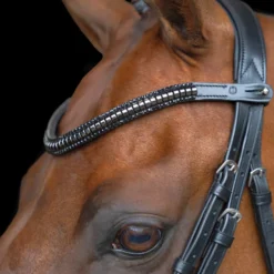 IMPERIAL RIDING Stirnriemen IRHClincher