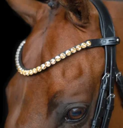 IMPERIAL RIDING Stirnriemen IRHGrande