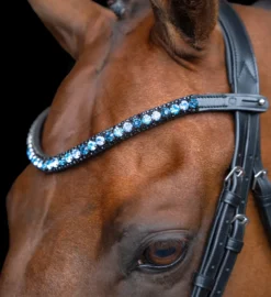 IMPERIAL RIDING Stirnriemen IRHGrande