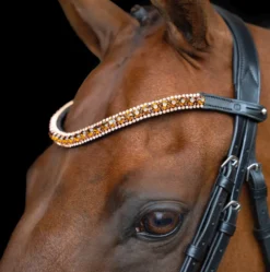 IMPERIAL RIDING Stirnriemen IRHGrande