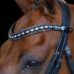 IMPERIAL RIDING Stirnriemen IRHMaxima