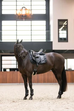 IMPERIAL RIDING Streichkappen IRHLovely