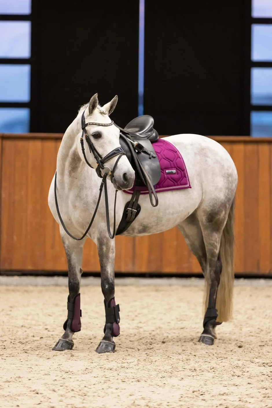 IMPERIAL RIDING Streichkappen IRHLovely