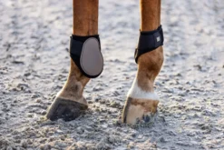 IMPERIAL RIDING Streichkappen IRHLovely