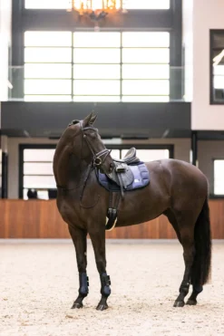 IMPERIAL RIDING Streichkappen IRHLovely