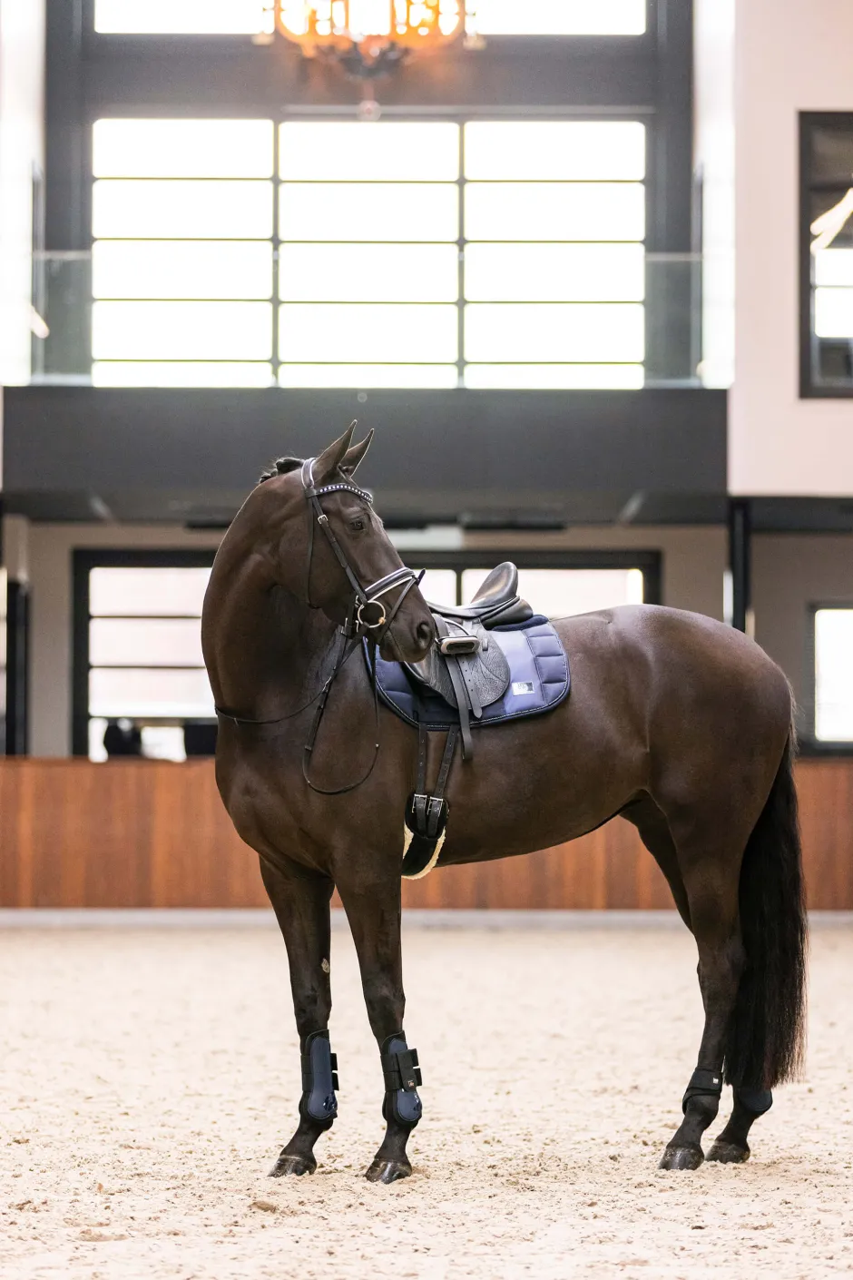 IMPERIAL RIDING Streichkappen IRHLovely