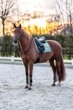 IMPERIAL RIDING Streichkappen IRHLovely