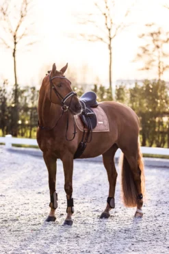 IMPERIAL RIDING Streichkappen IRHLovely
