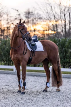 IMPERIAL RIDING Streichkappen IRHLovely